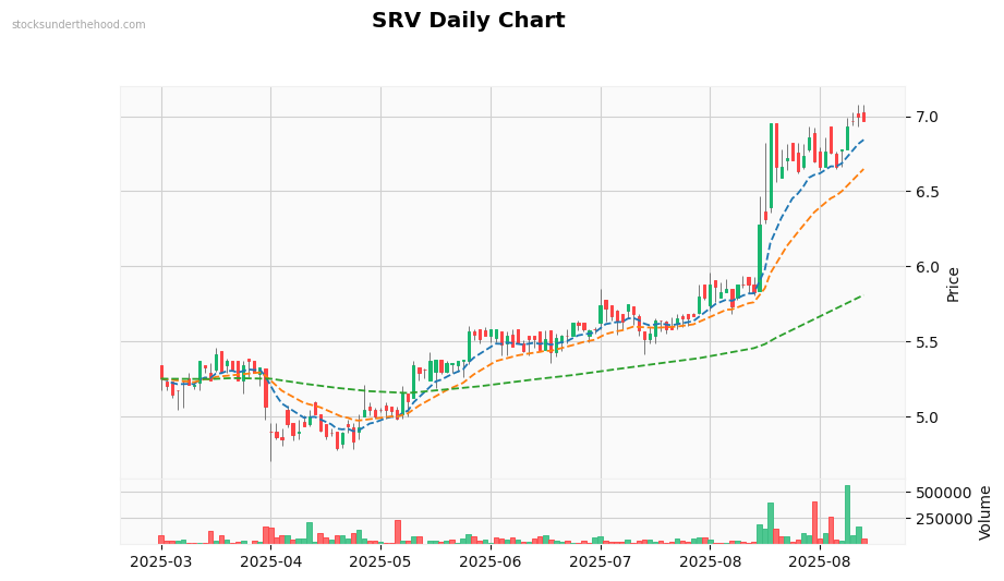 SRV Daily Chart